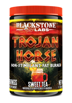 TROJAN HORSE